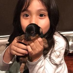 Meet your Posher, Jose a